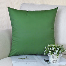 Load image into Gallery viewer, Outdoor Throw Pillow - decoratebyyou
